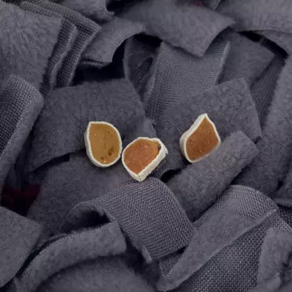 Sniffing Carpet Strategy Game 