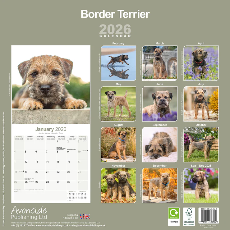 Calendar 2026: Cover page with terrier puppy, monthly overview with terrier photographs in various poses and environments.