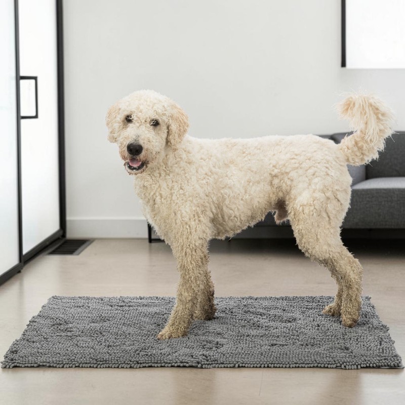 A light-coloured Goldendoodle with curly fur is standing on a rectangular, grey doormat in the entrance hall of a modern home. Its slightly dirty paws are resting on the mat. The dog is looking directly at the viewer.