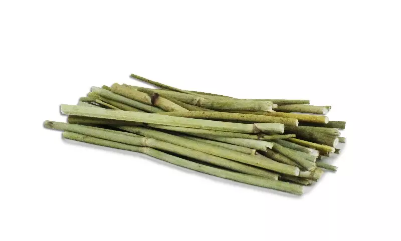 jr-farm-fenchel-staebchen-1 JR Farm Fenchel-Stäbchen
