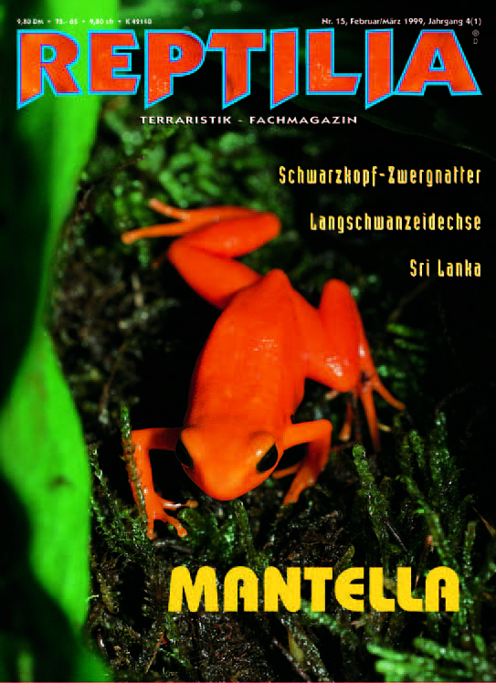 Reptilia 15 - Mantella