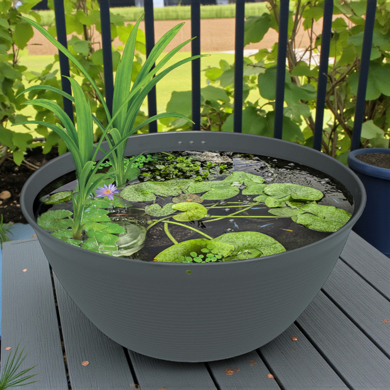 Graue Medaka Teichschale mit Wasserpflanzen und Seerosen auf einer Holzterrasse.