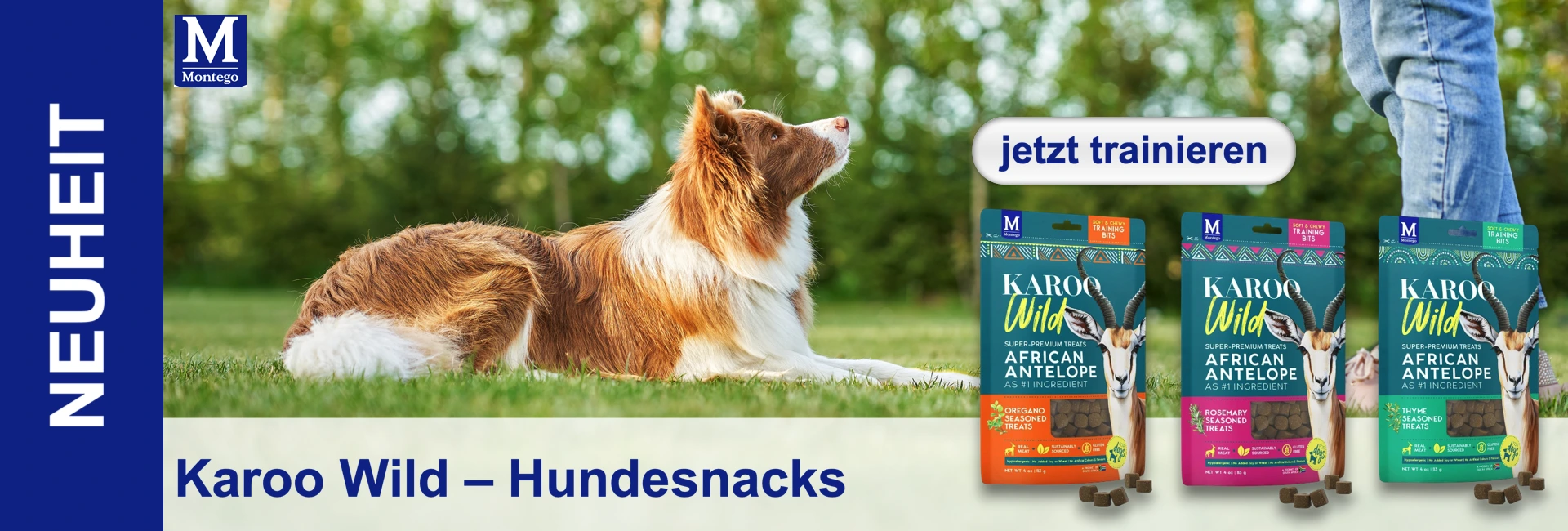 Border Collie auf Rasen, schaut hoch; Person in Jeans hinten. Drei Montego Karoo Wild Hundesnacks (Oregano, Rosmarin, Thymian) mit Antilopenmotiv, neu. Button „jetzt trainieren“.