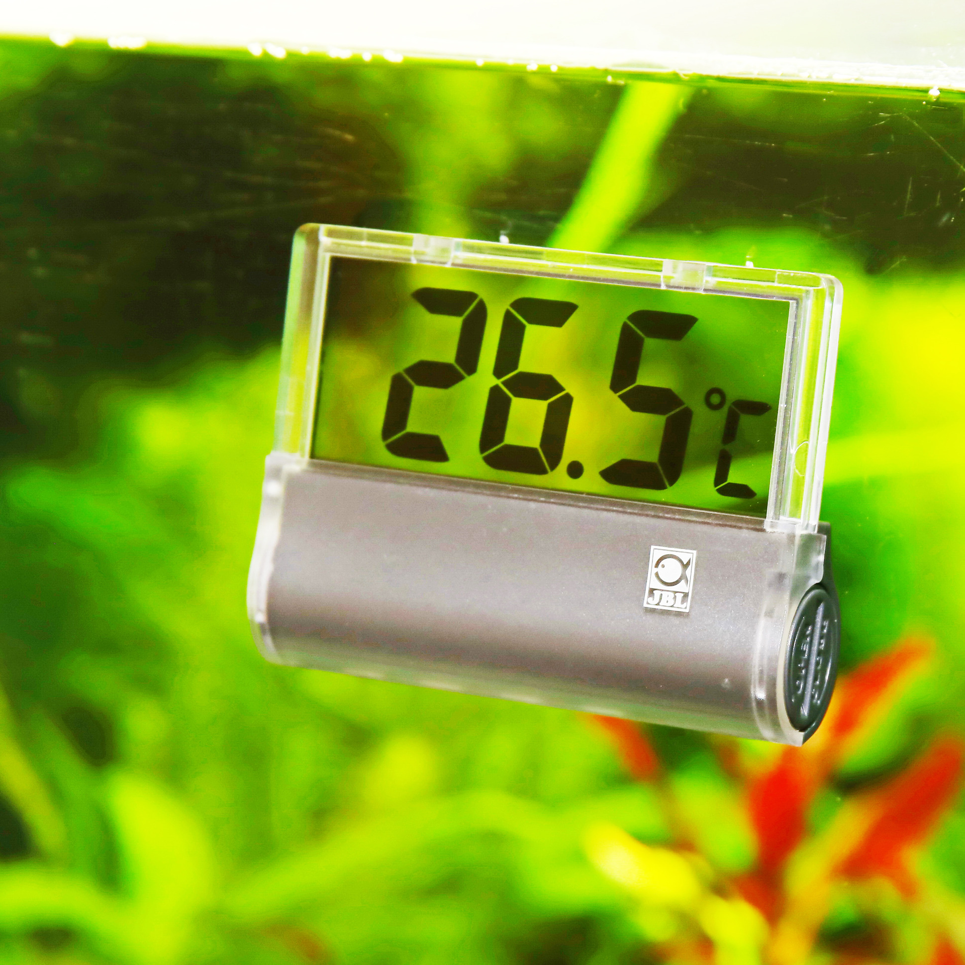 JBL Aquarium Thermomètre Diciscan