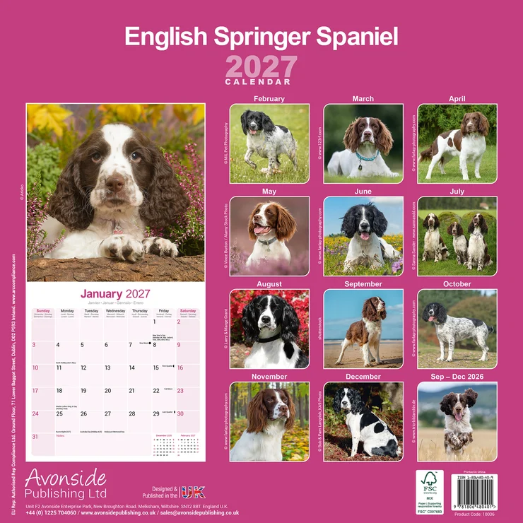 Kalender 2027 English Springer Spaniel