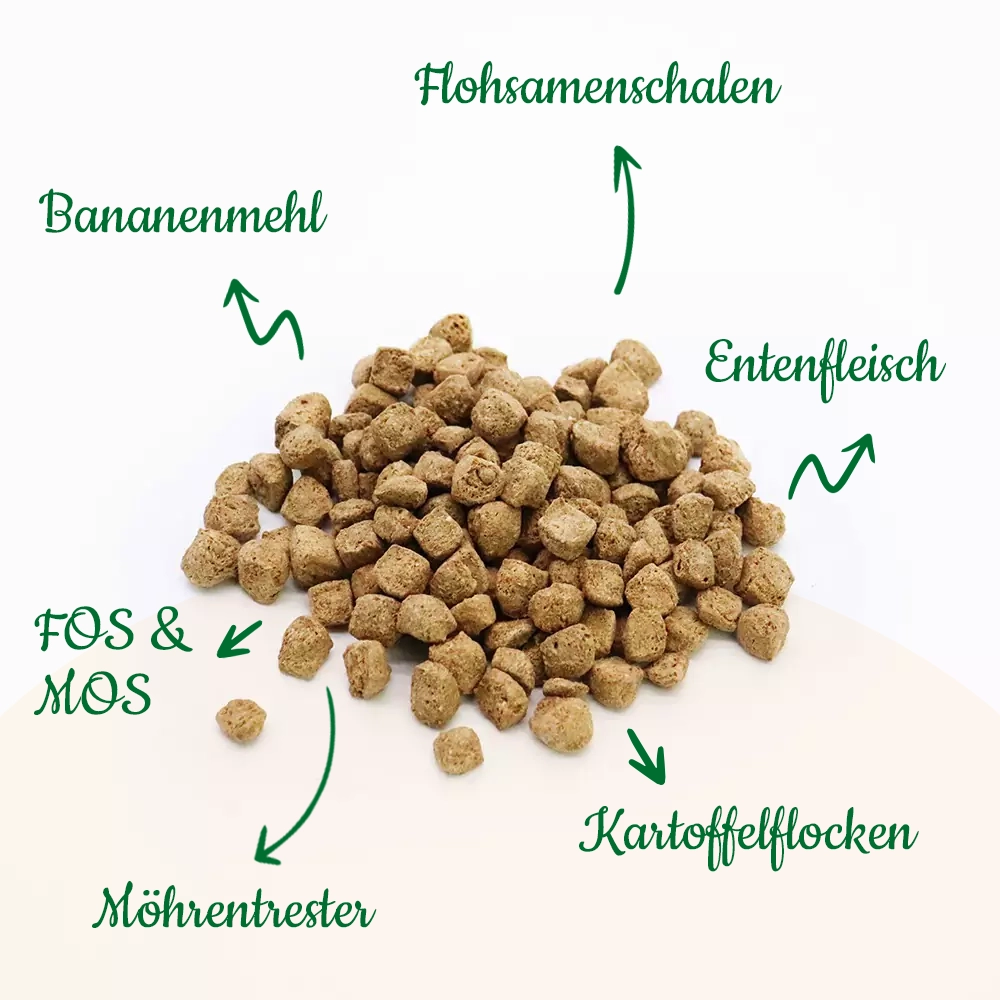 Sano-Vet - Ente mit Kartoffel und Banane