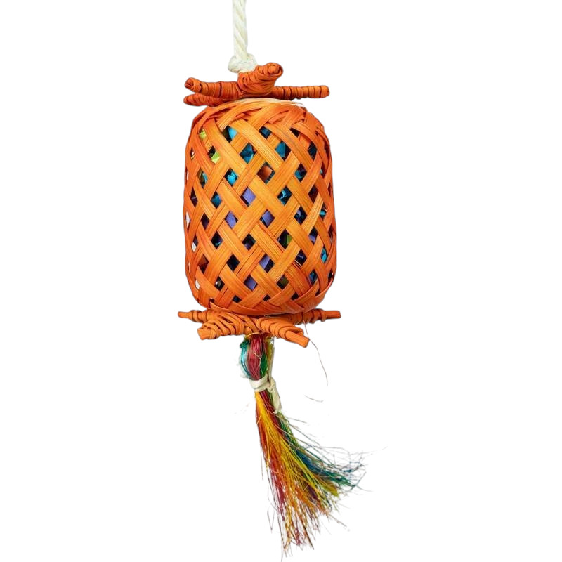 Back  Zoo Natur Laterne Pinata 
