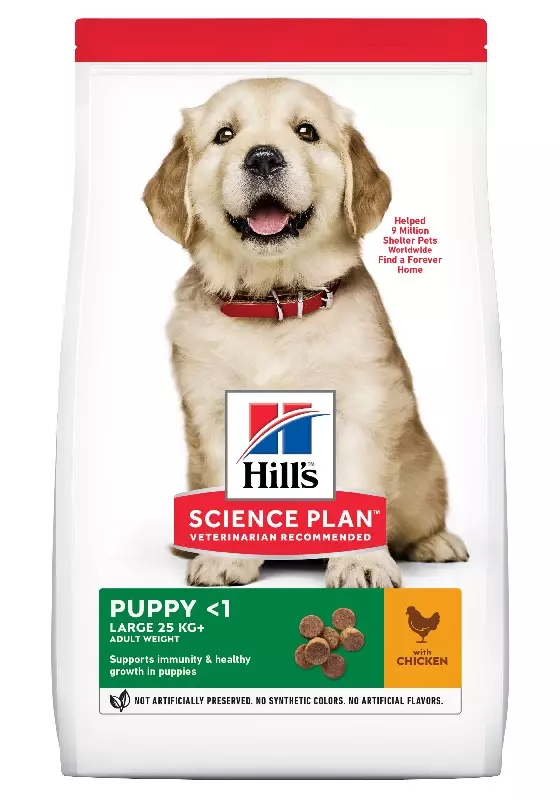 Hill's Science Plan Canine Puppy Large Breed Pollo