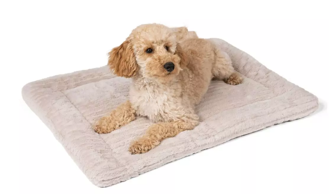Harmony Kuscheldecke Creme Harmony Kuscheldecke Creme