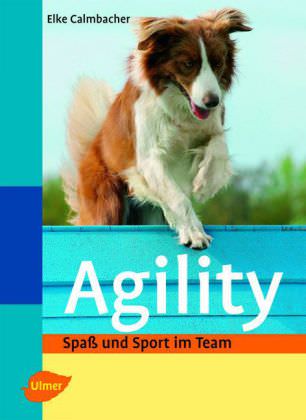 agility ULMER