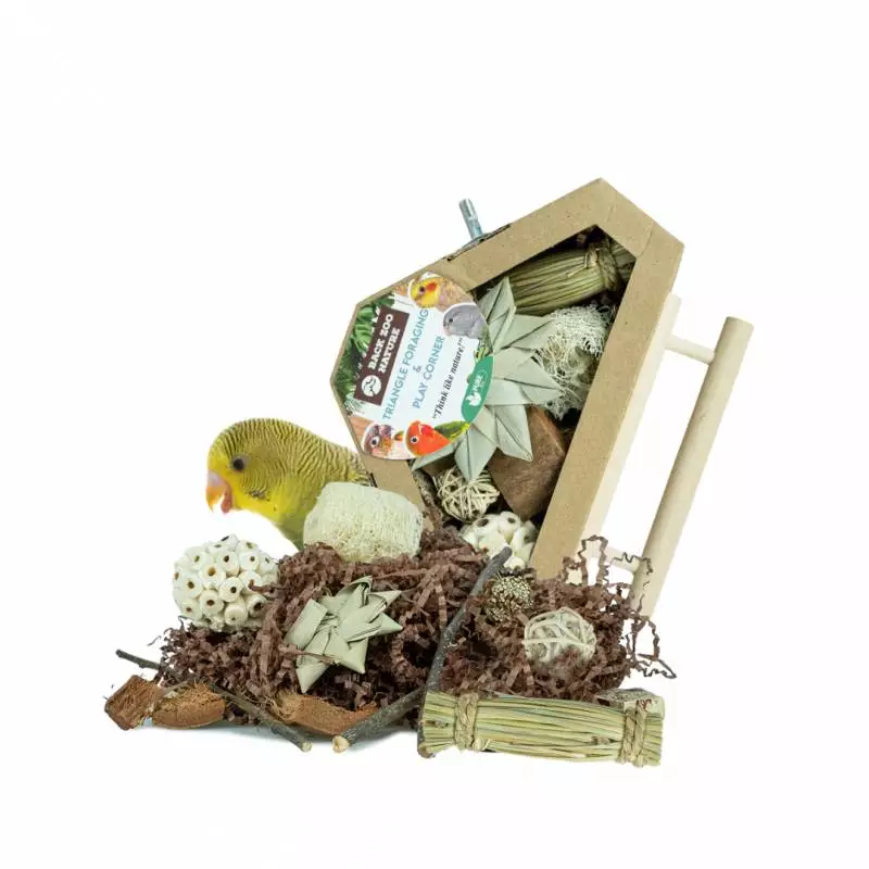 back-zoo-nature-triangle-spiel-ecke back-zoo-nature-triangle-spiel-ecke