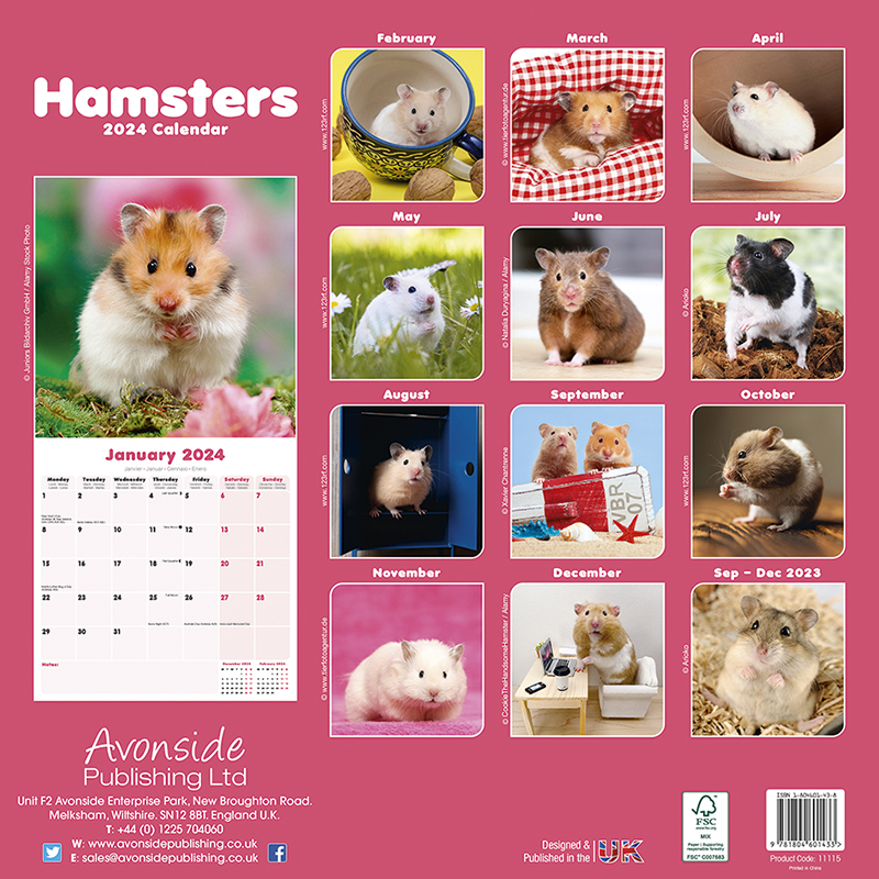 Kalender 2024 Hamster - Hamsters - Goldhamster