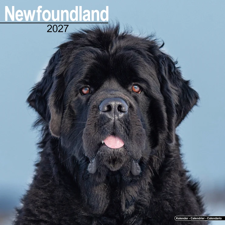 Calendar 2026 Newfoundland - Newfoundland