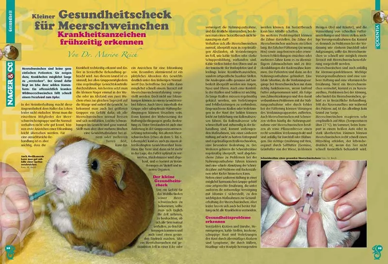 rodentia-73-3 Rodentia 73 - Luxuriöse Geheger für Nager und Kaninchen
