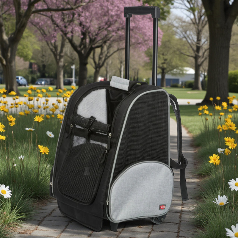 Trolley and backpack