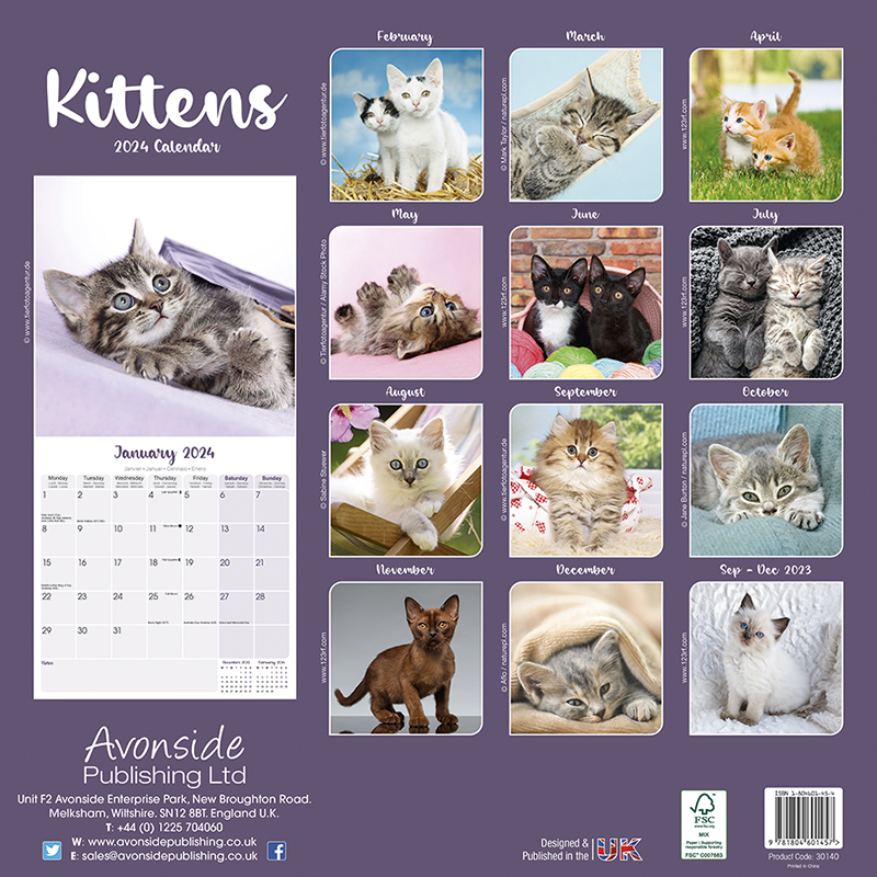 Kalender 2024 Kätzchen - Kitten