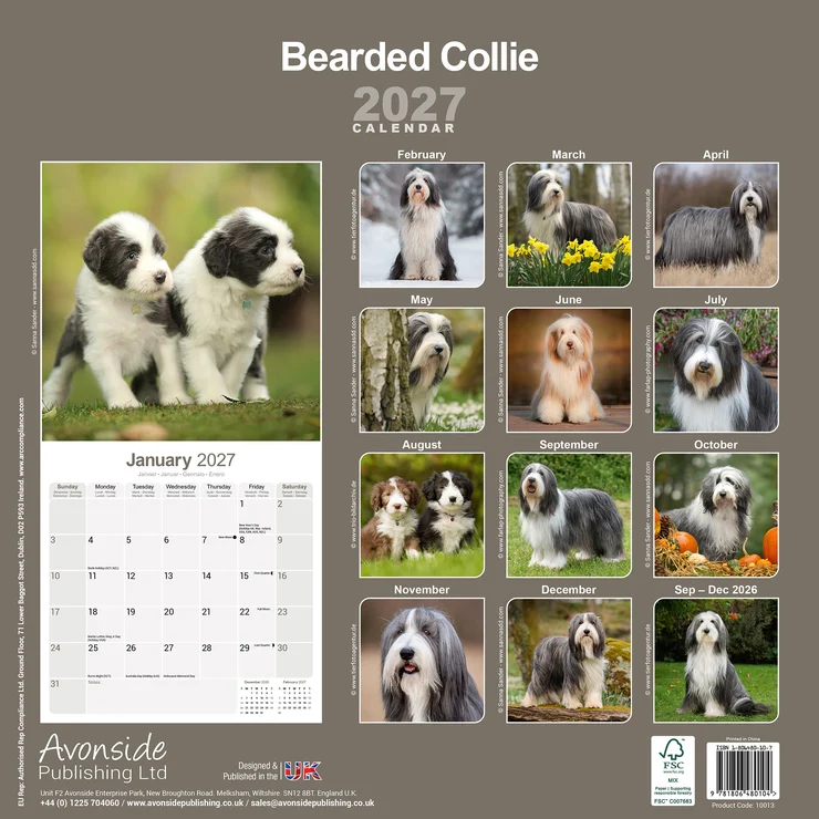 Kalender 2027 Bearded Collie - Beardie