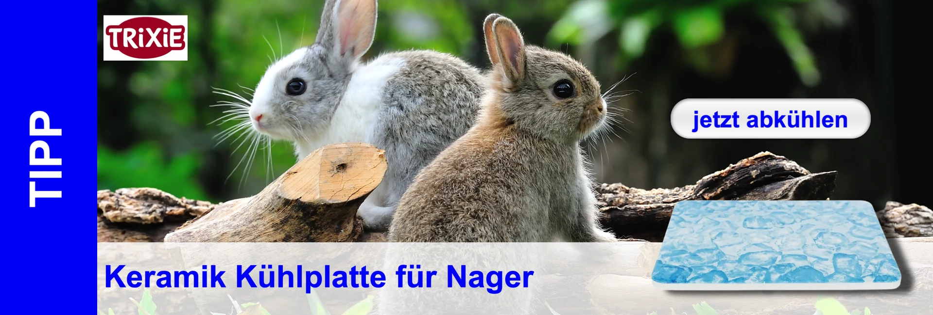 Zwei Kaninchen sitzen auf einem Holzstück neben einer blauen Kühlplatte mit Text "Jetzt abkühlen", Logo und Text "Keramik Kühlplatte für Nager".
