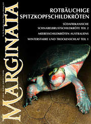 Marginata Nr. 24 - Rotbäuchige Spitzkoppfschildkröte