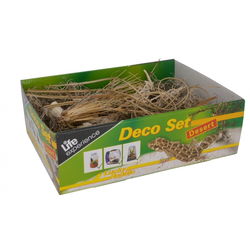 Deco Set Desert - Terrariendekoration Deco Set Desert - Terrariendekoration