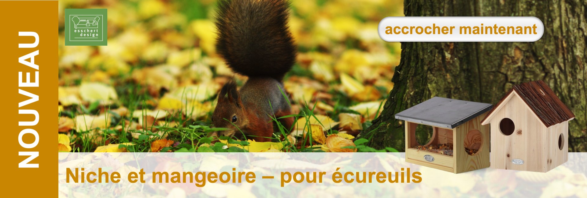 Un écureuil dans les feuilles et deux petites maisons en bois. Des champs de texte annoncent un nouveau produit pour les écureuils.