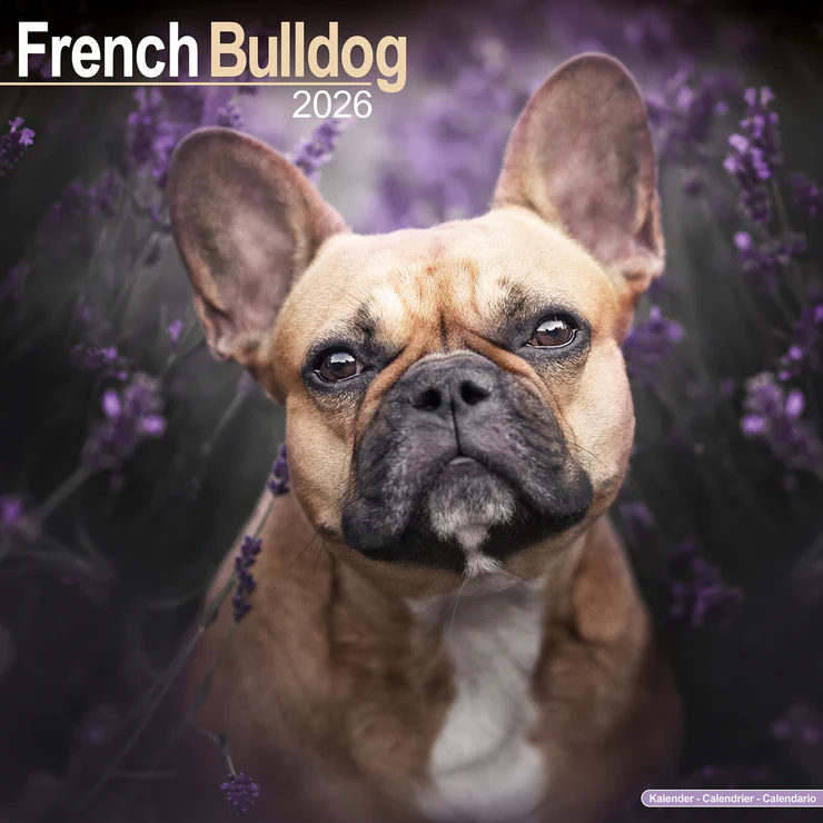 Calendar 2025 French Bulldog