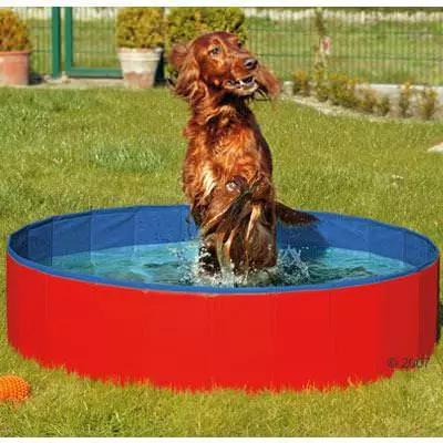 Doggy Pool