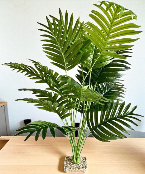 Terra Palme 60cm 