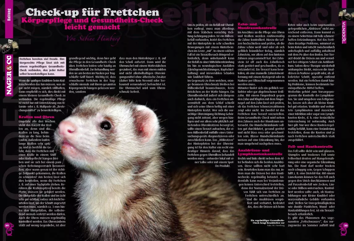 rodentia-81-tierschutzfall-kaninchen-2 Rodentia 81 - Tierschutzfall Kaninchen