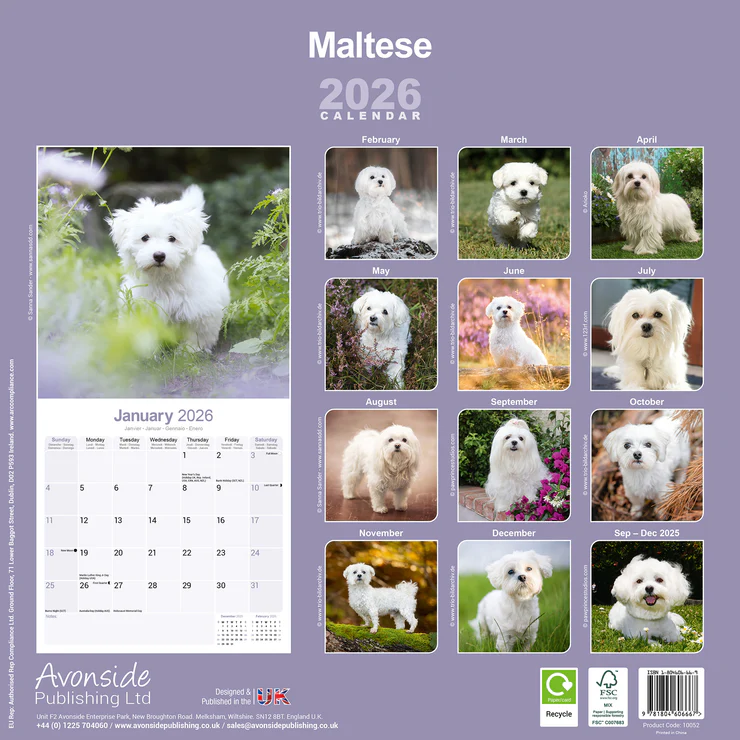 Calendar 2025 Malteser - Maltese