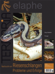 Terraria Nr. 36 - Nachzucht von Riesenschlangen