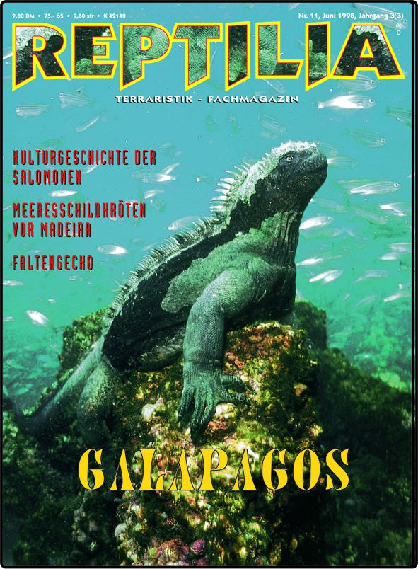 Reptilia 11 - Galapagos