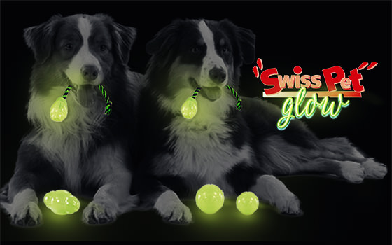 Swisspet Football Glow mit Anti-Rutsch-Seil