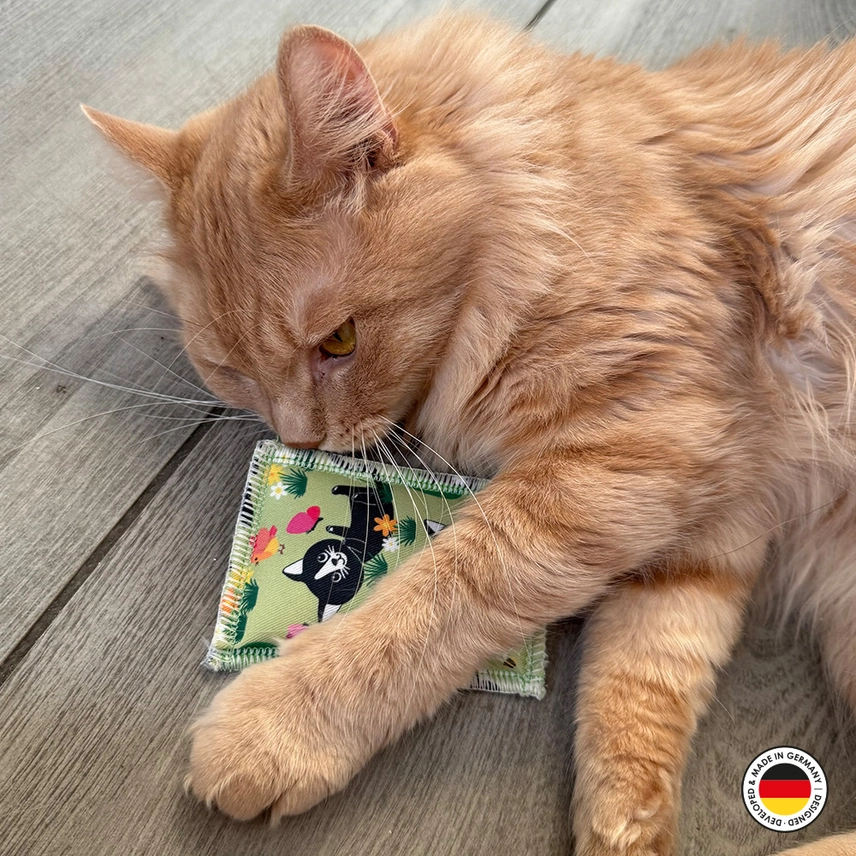Katzen-Schmusekissen Lucy