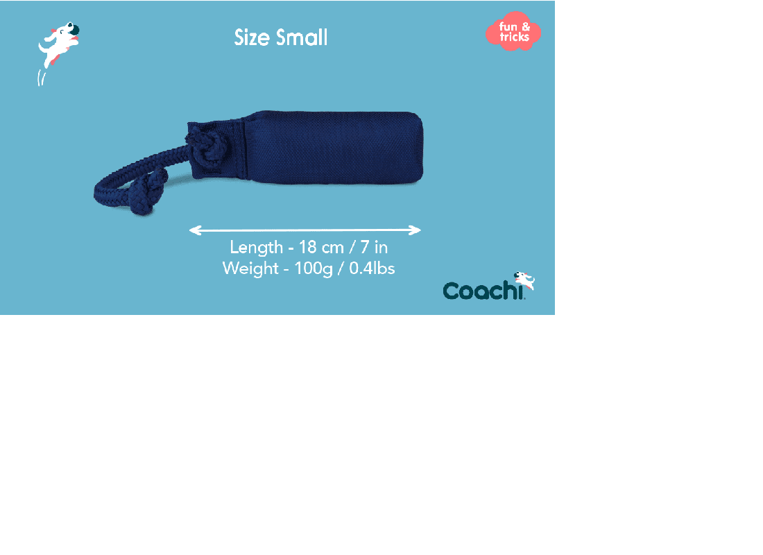 Coachi Training Dummy