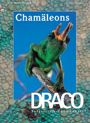 Draco 01 - Chamäleons