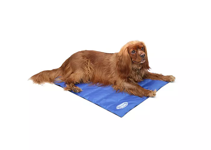Scruffs-K-hlmatte-blau-S Scruffs, Kühlmatte blau M