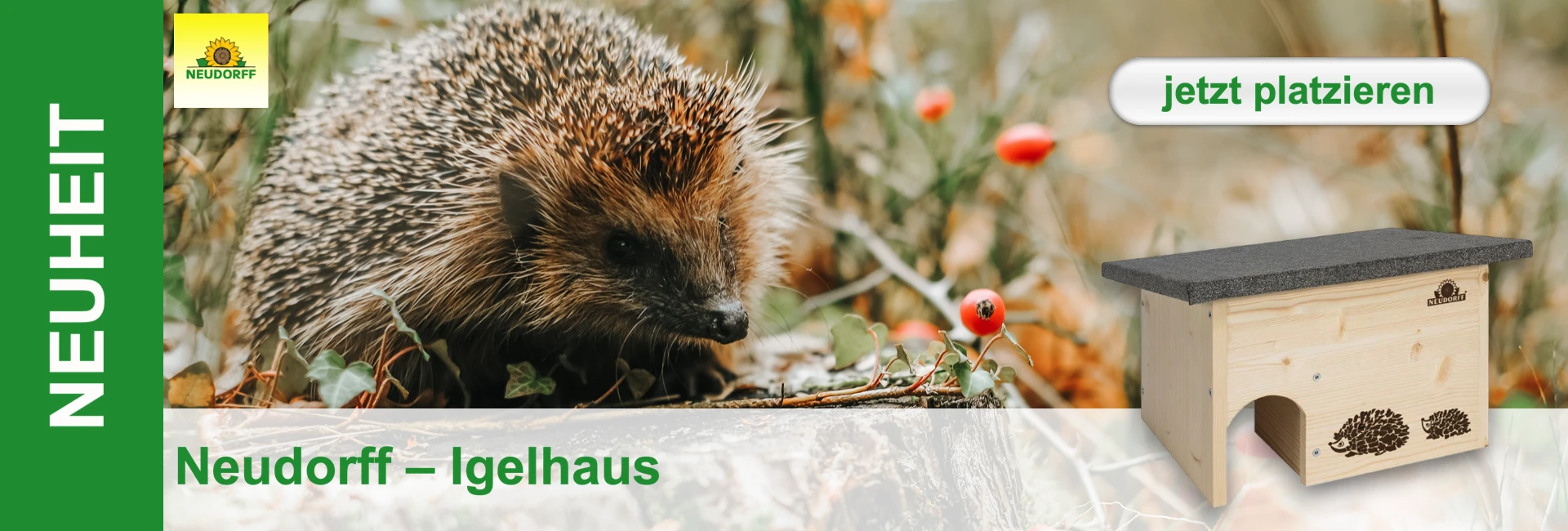 Un riccio siede nel fogliame accanto a una casetta di legno con tetto scuro e motivi di ricci. Sullo sfondo bacche rosse.