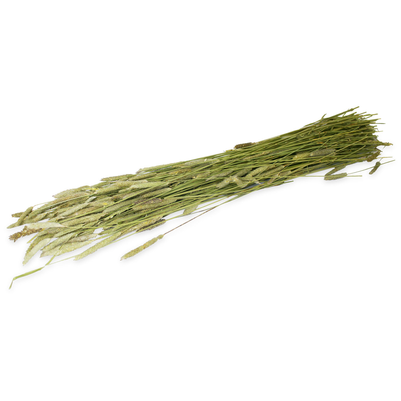 JR Farm Timothy-Ernte 80g