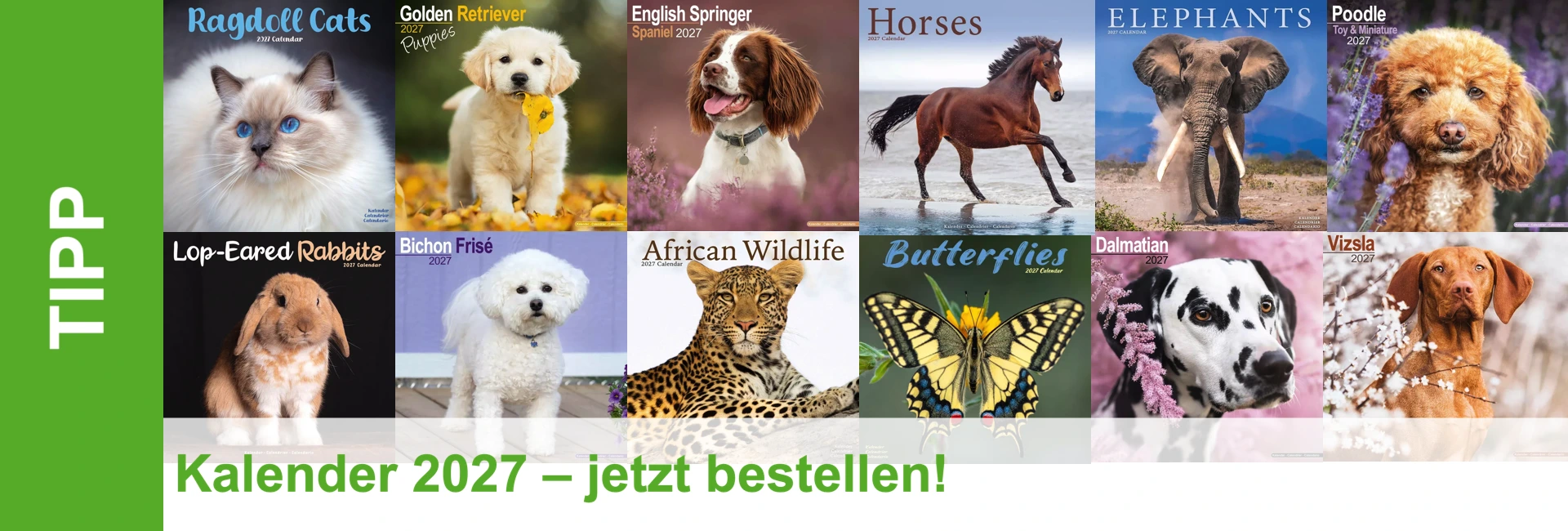 Collage: 12 copertine del calendario 2027 con animali (Ragdoll, Golden Retriever, Springer Spaniel, cavalli, elefante, barboncino, coniglio ariete, Bichon, leopardo, farfalle, dalmata, Vizsla). Testo: «CONSIGLIO», «Calendario 2027 – ordinalo ora!»