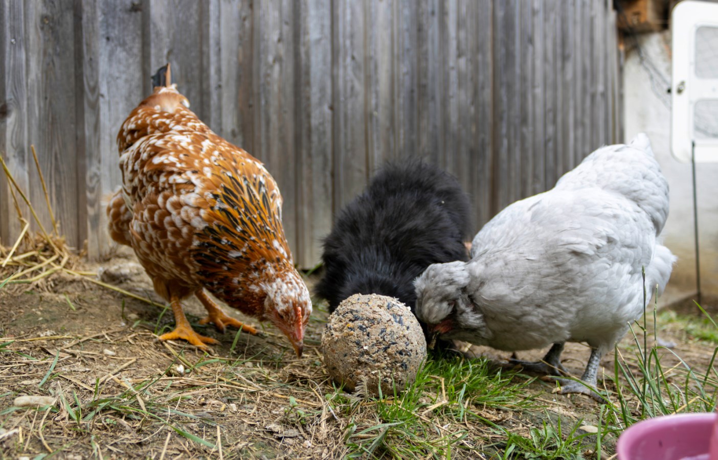 Pick ball - 6 pieces