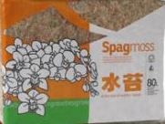 Mousse de spagnum compressée