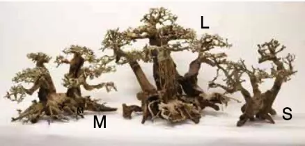 aquarium-deko-wald-bonsai-1 Aquascaping - Bonsai forest Tree