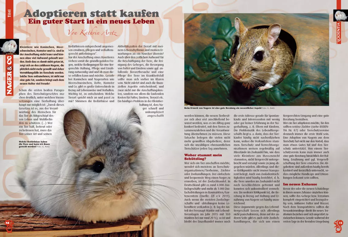 rodentia-89-adoption-ein-kleintier-aus-zweiter-hand-3 Rodentia 89 - "Adoption", ein Kleintier aus zweiter Hand