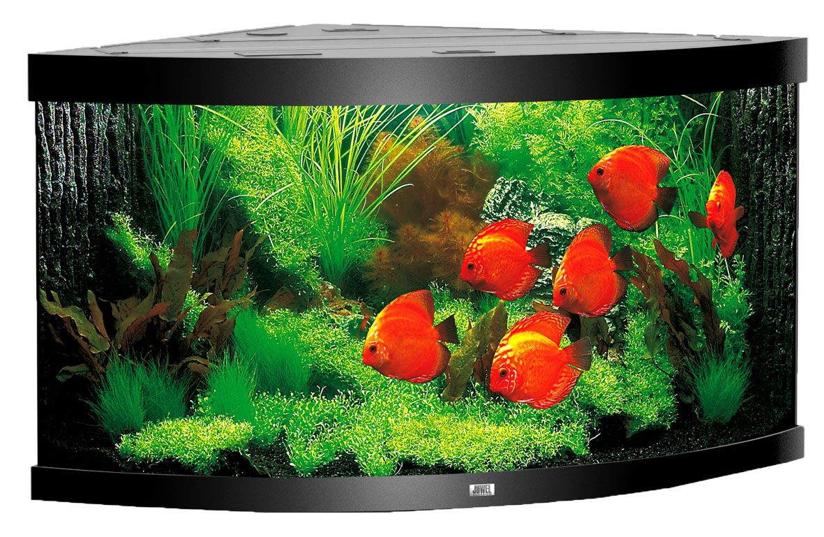 Juwel Trigon Aquarium