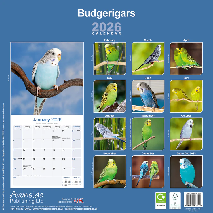 Calendar 2025 Budgerigars