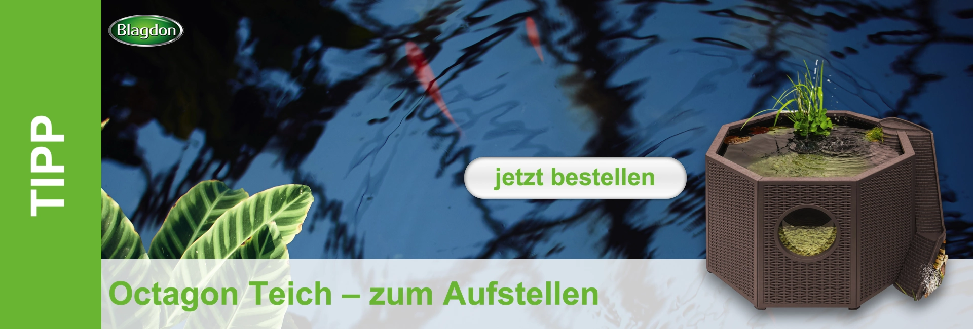 Ein sechseckiger, erhöhter Teich in Rattan-Optik steht vor dunklem Wasser, in dem zwei rote Fische schwimmen. Im Teich sind grüne Wasserpflanzen und eine sprudelnde Fontäne. Seitlich ein rundes Fenster, kleiner Wasserfall zu Steinen. Links grüne Blätter.