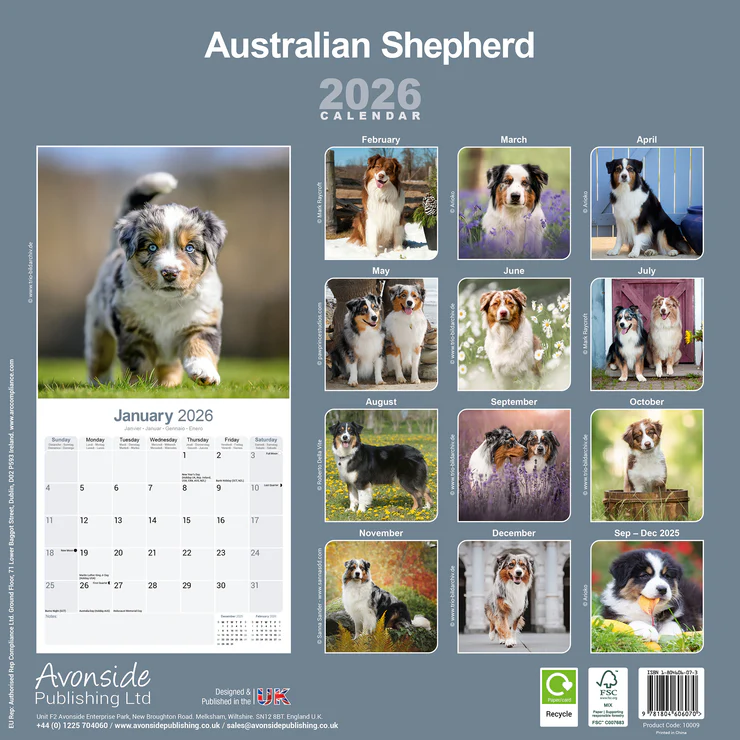 Calendar 2025 Australian Shepherd - Aussie