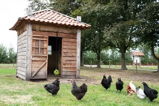 Pickstangen
