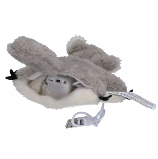 Robocat wilde Tiere Eichhörnchen Robocat wilde Tiere Eichhörnchen